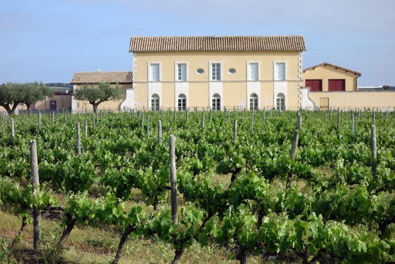 Château Lamargue, de camino a Vauvert
