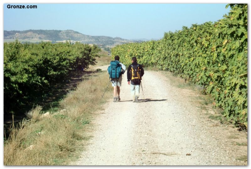 De camino a Chiprana