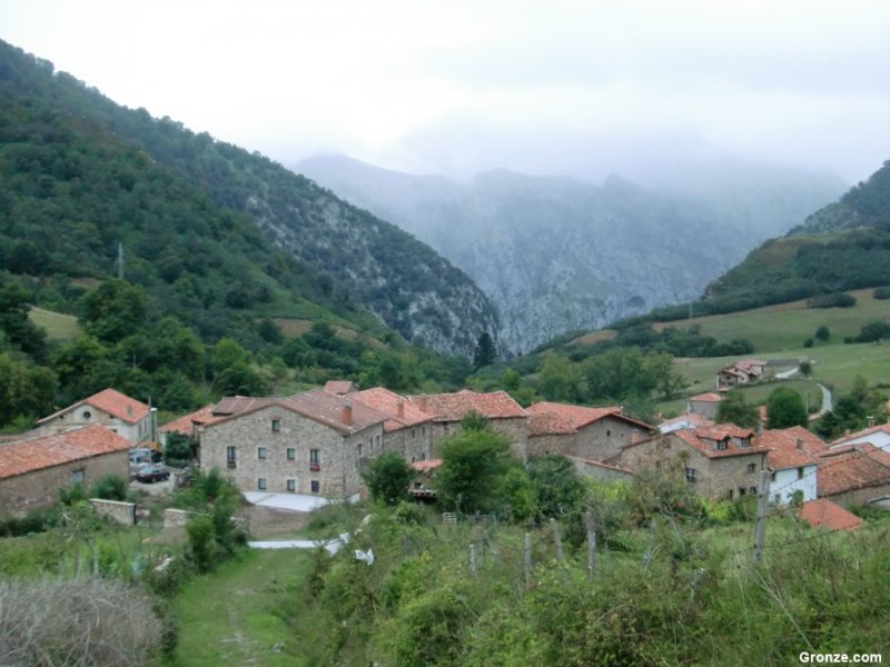 Cicera