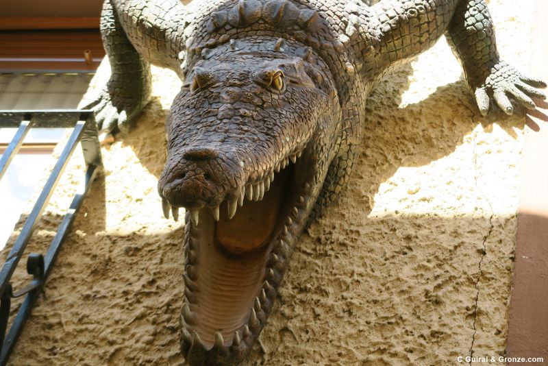 Réplica del cocodrilo del río Sequillo en Medina de Rioseco