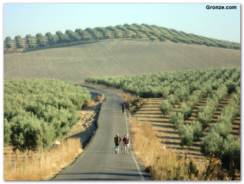 De camino a Córdoba