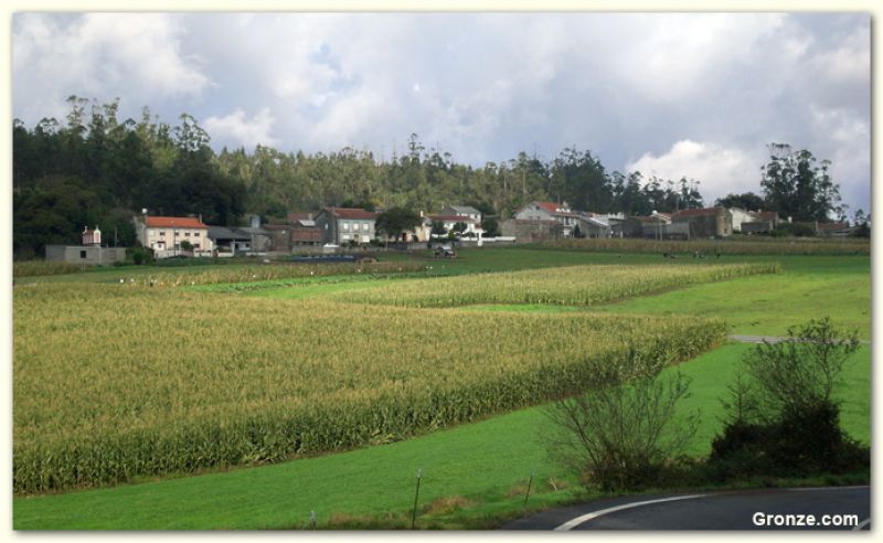 Cornado