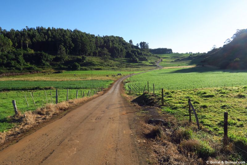 Descenso por un valle, de camino hacia Cigüenza