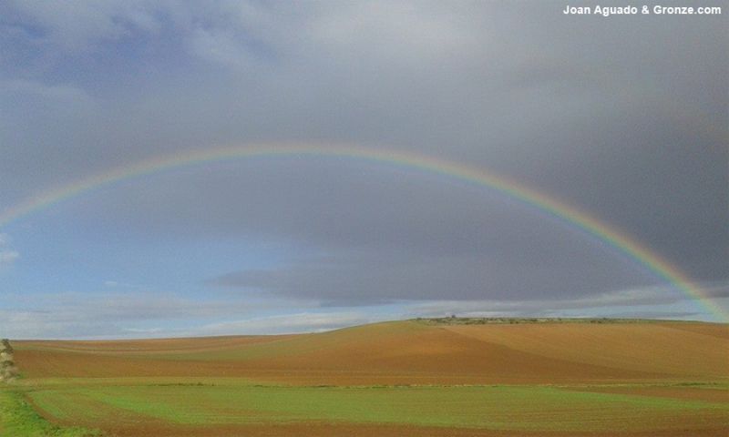 De camino a Santo Domingo de la Calzada
