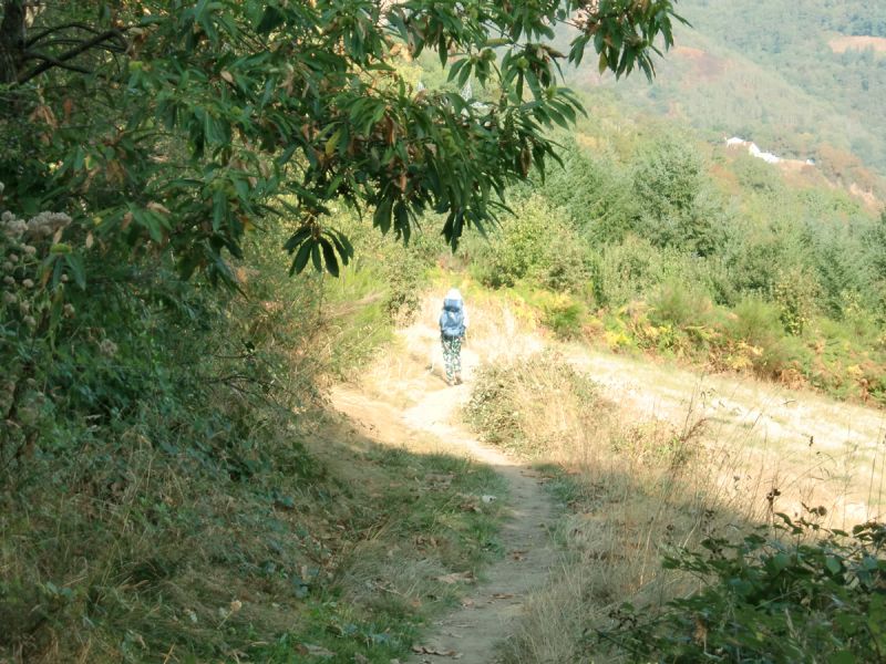 De camino a Livinhac-le-Haut