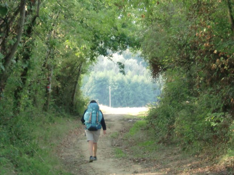 De camino a Manciet