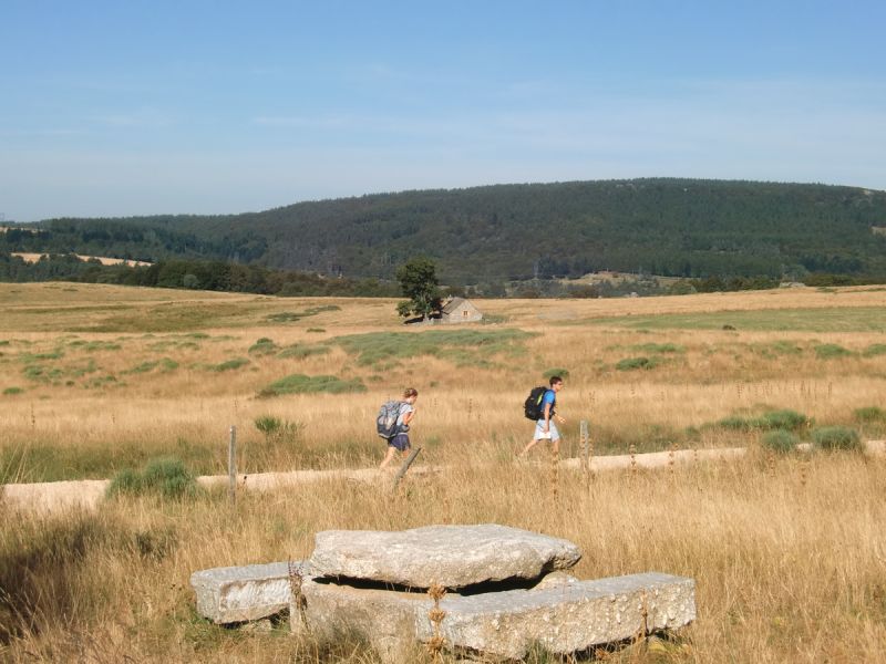 Domaine du Sauvage