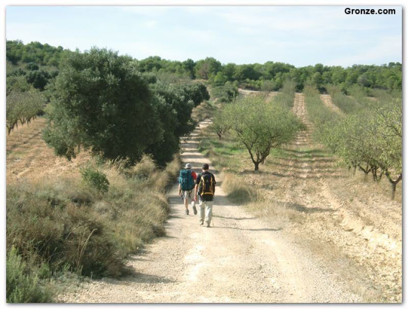 De camino a Fabara
