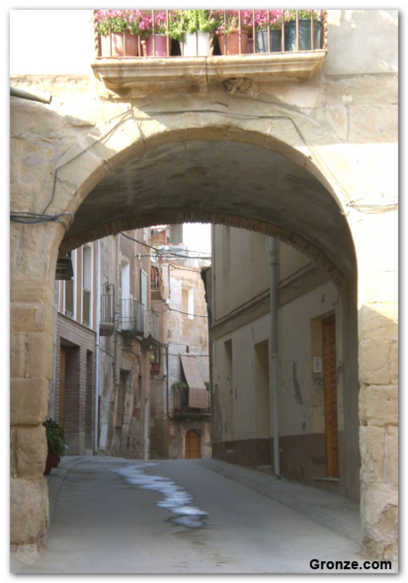 Castelló de Farfanya