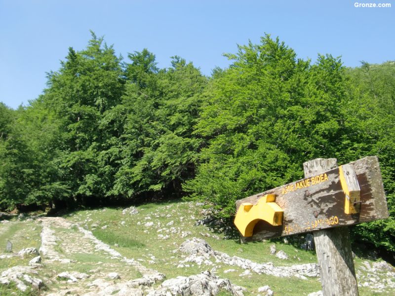 Calzada medieval en la Sierra de Aizkorri, Camino Vasco del Interior