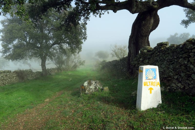Tramo entre Segura de León y Valencia del Ventoso, en la provincia de Badajoz