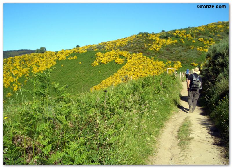 Ascenso a O Cebreiro por el Camino de Santiago