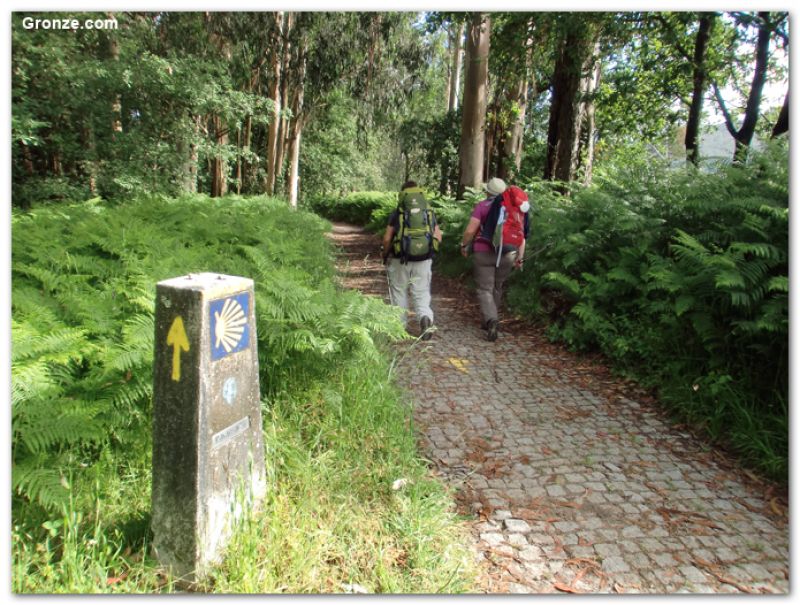 Peregrinos hacia Pontevedra, Camino Portugués