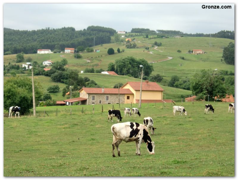 Güemes