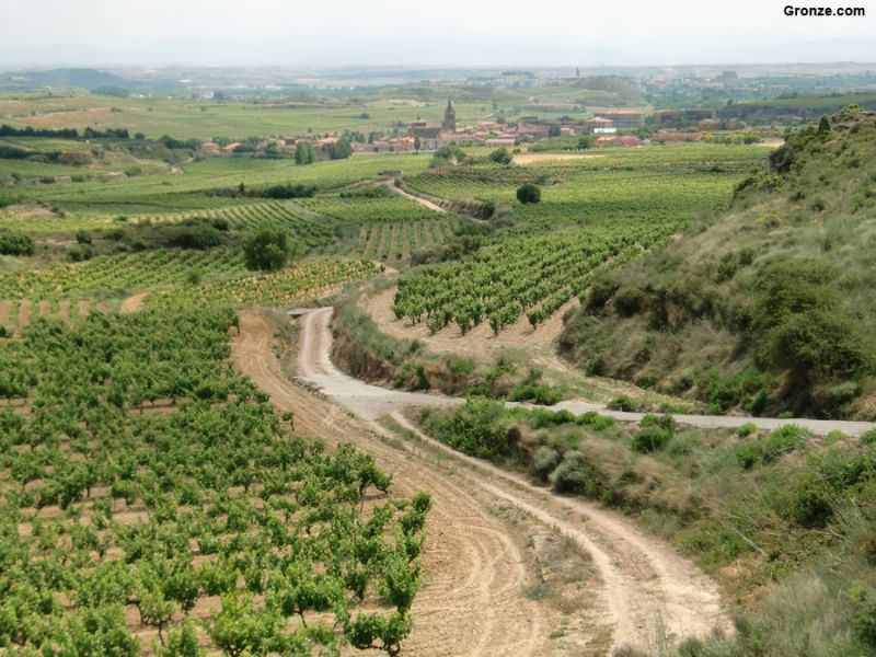 Briñas y, al fondo, Haro
