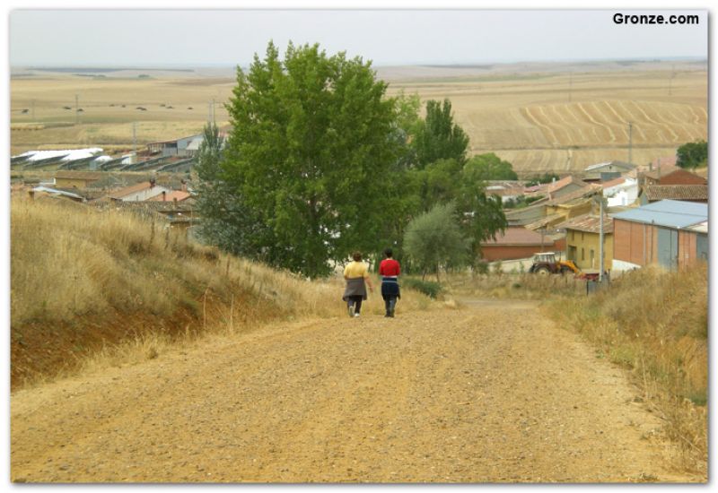 Ledigos