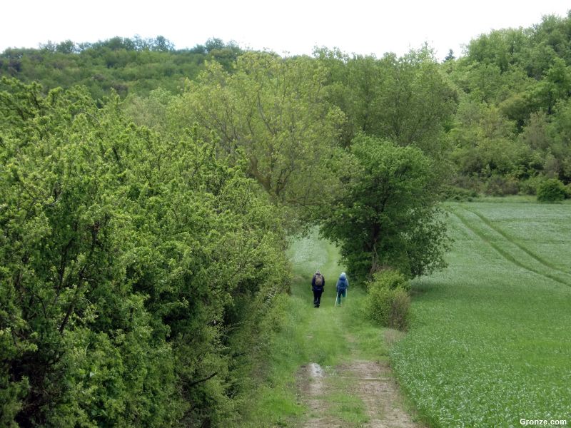 De camino a Malegoude