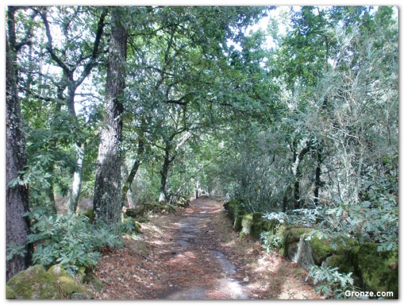 De camino a Mandrás (por Canedo)