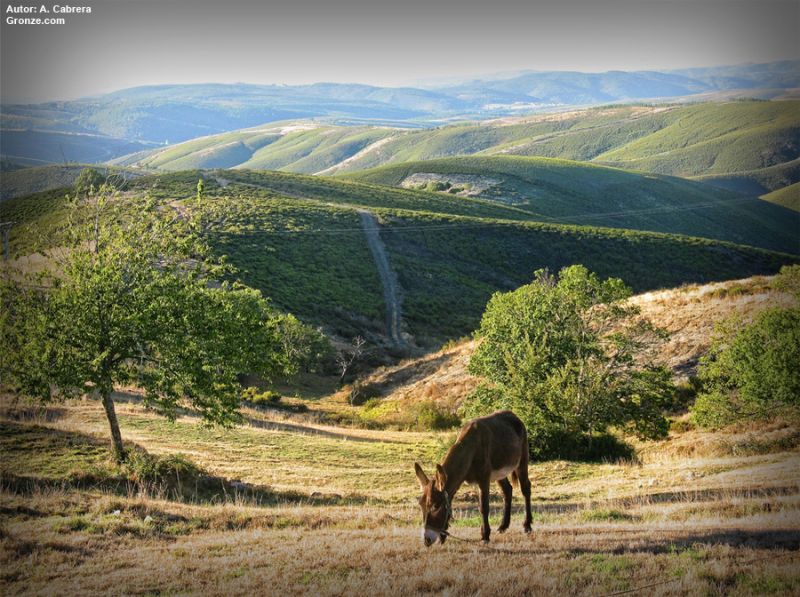 De camino a Campobecerros, etapa de A Gudiña a Laza