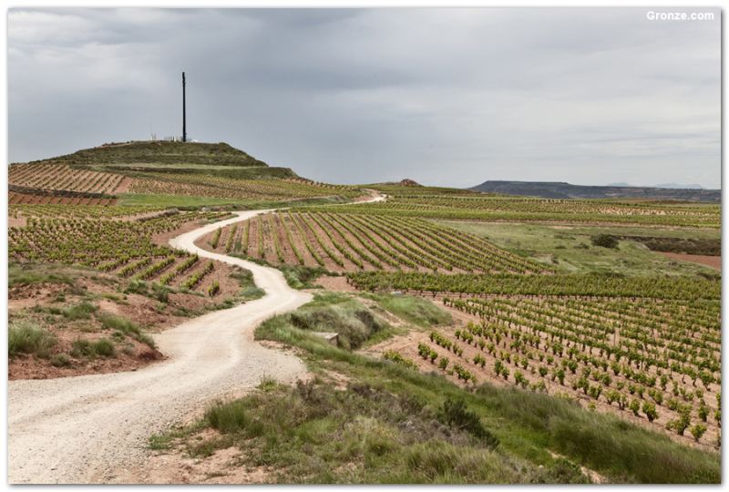 De camino a Nájera