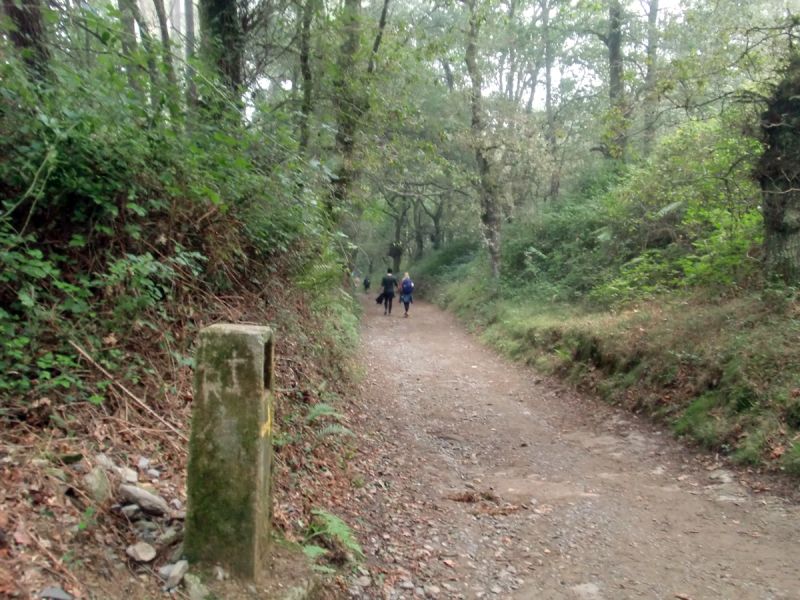 Saliendo de Arzúa