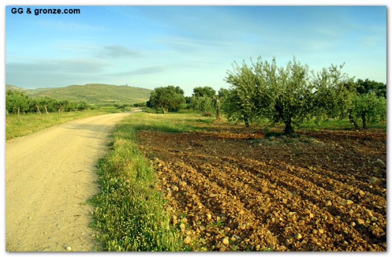 De camino a Arrúbal