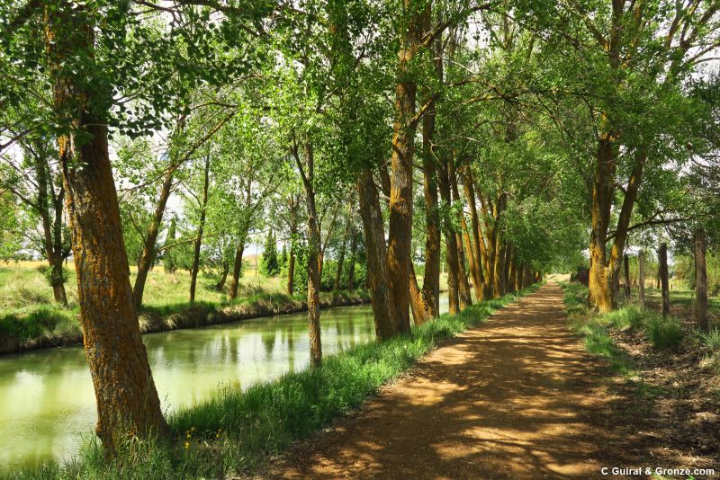 Camino de sirga del Canal de Castilla