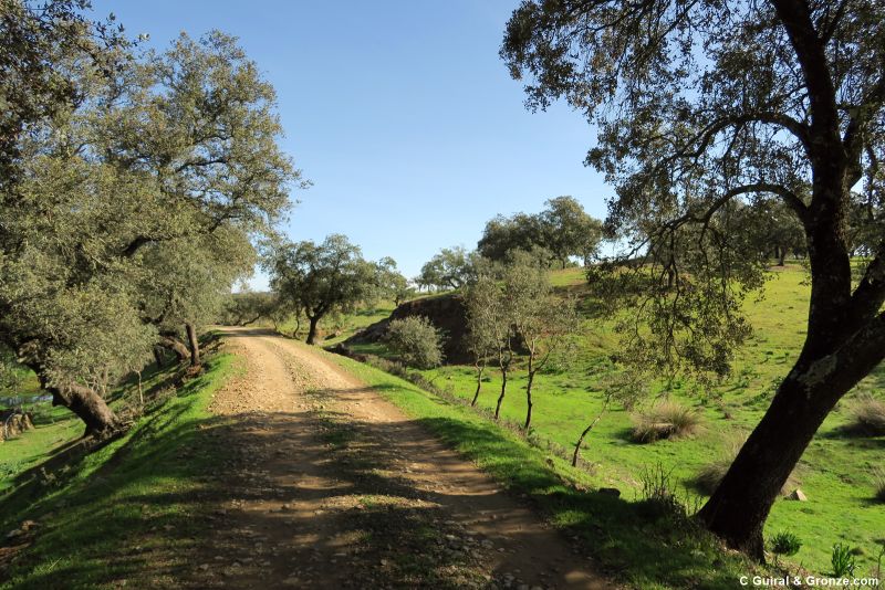 La vía verde avanza entre dehesas, hacia El Campillo