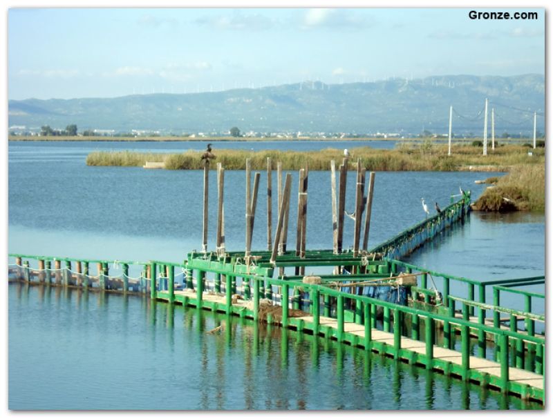 Embalse de la Encanyissada
