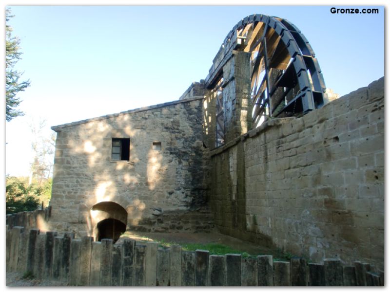 Noria del Monasterio de Rueda