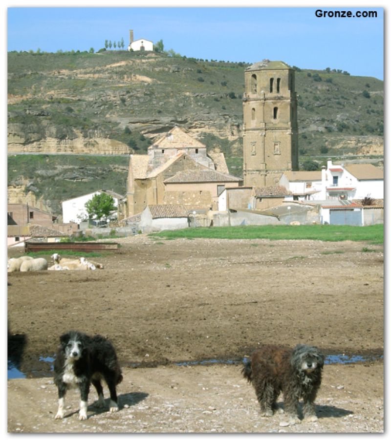 Torre de la iglesia de Santa María, Pertusa