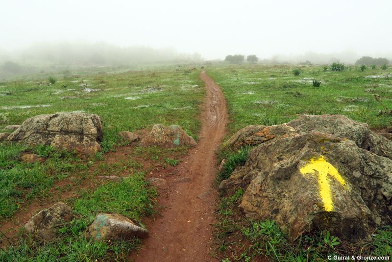 Sendero a la salida de Córdoba