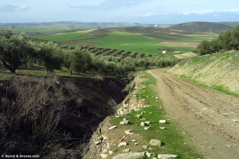 Tramo de camino con Santa Cruz al fondo