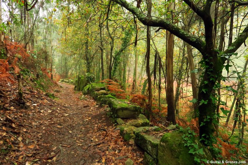Camino hacia Castelo do Neiva