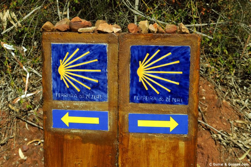Derecha o izquierda, he aquí el dilema