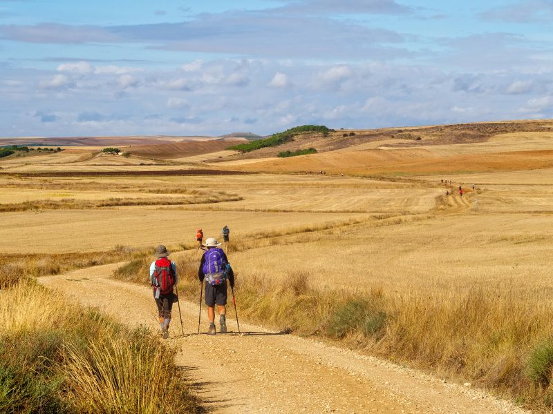 La Meseta, un paisaje que favorece la introspección