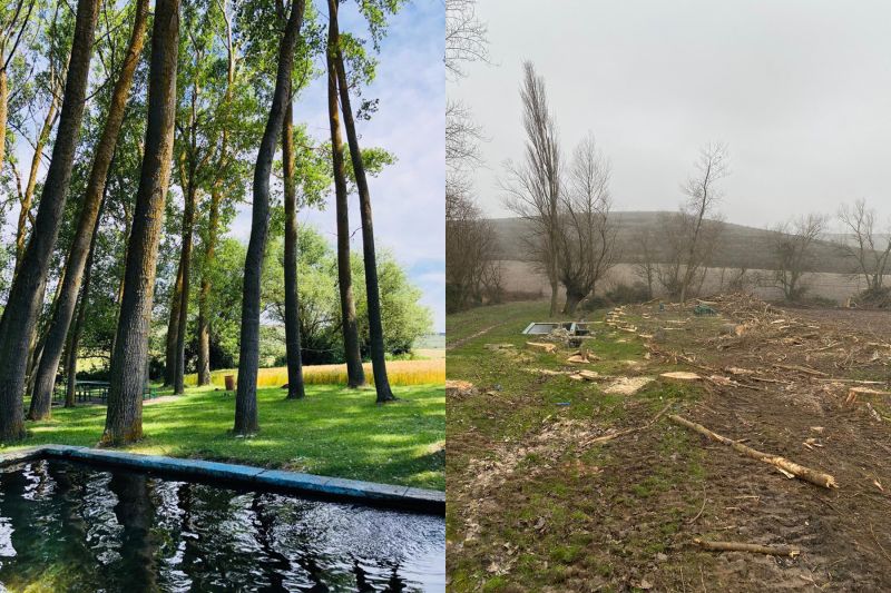 El oasis de San Bol antes y después de la tala