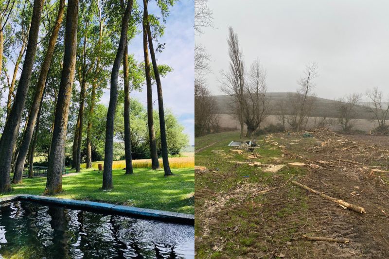 El oasis de San Bol antes y después de la tala