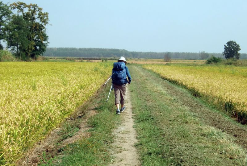 Vía Francígena en la Llanura Padana