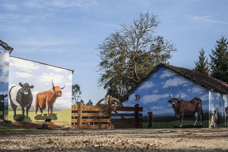 Fisterra Bovine World, murales con las diversas razas de vacuno criadas