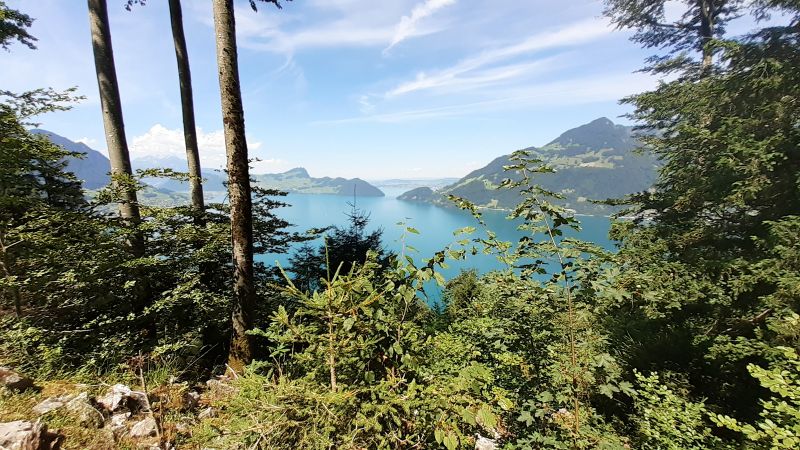 Lago de los Cuatro Cantones - Vierwaldstättersee