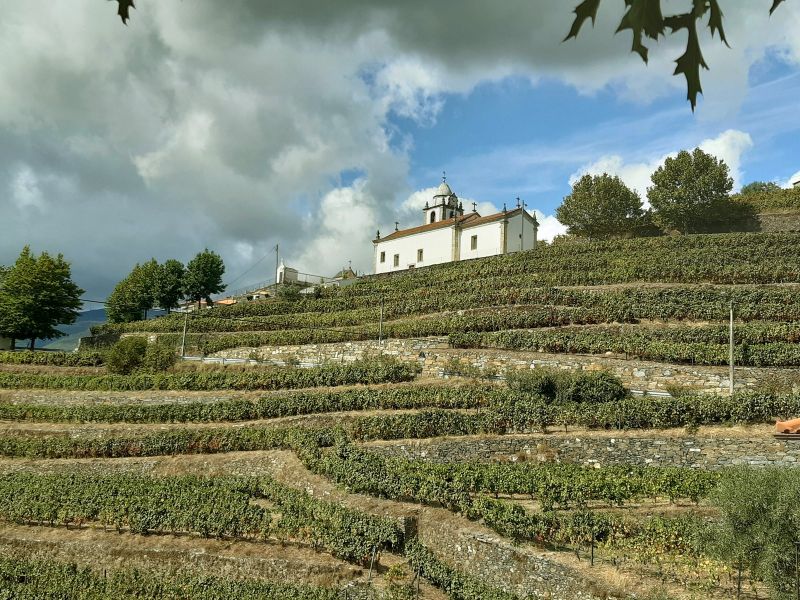 Los viñedos del Douro, un paisaje declarado Patrimonio Mundial por la Unesco