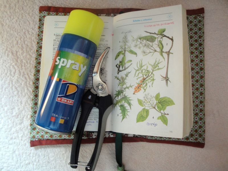 Las tijeras de podar, un espray fluorescente y el libro de plantas, curiosos objetos que Aída suele llevar en sus caminos