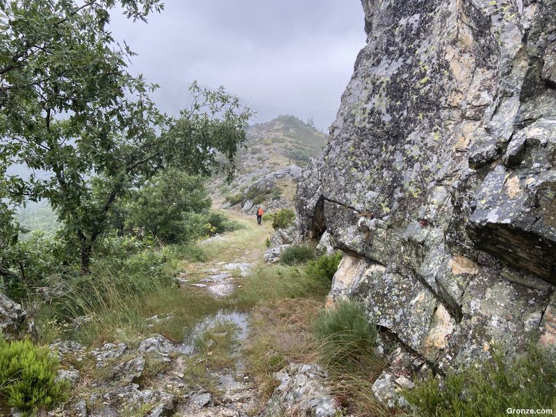 Vía Saliámica, calzada romana