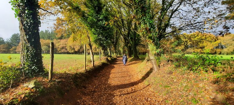 Sendero en el tramo de Sarria a Santiago de Compostela, en invierno.