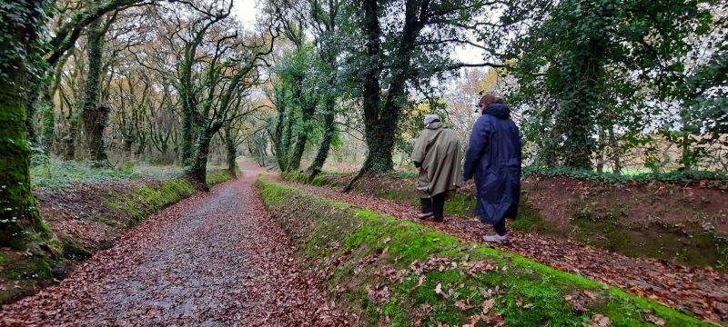 Tramo de Sarria a Santiago de Compostela en invierno.