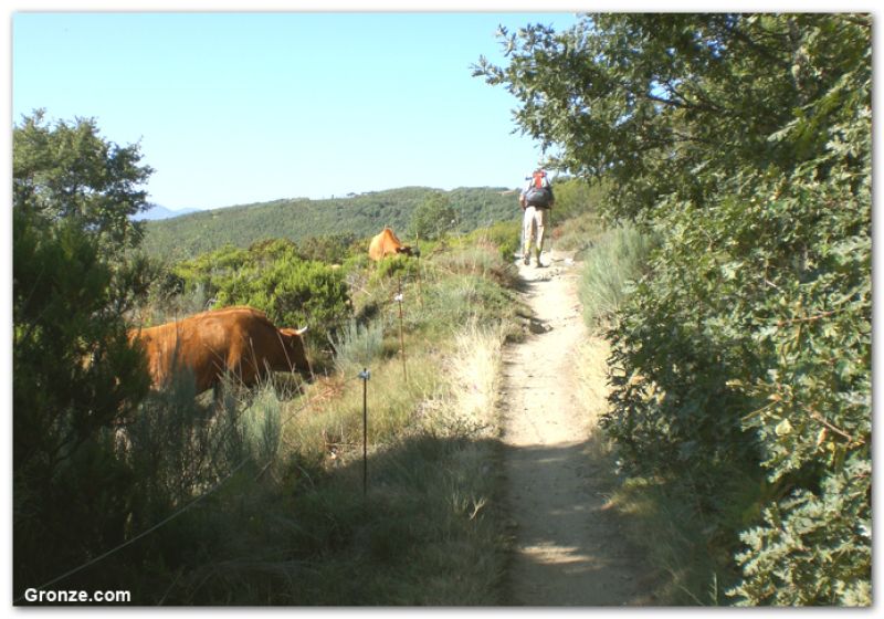 De camino a El Acebo (Montes de León) De camino a El Acebo (Montes de León)