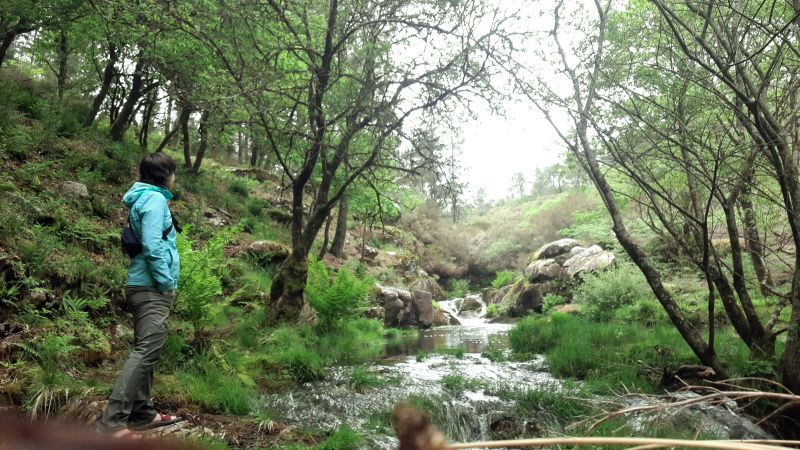 Pozas naturales en el río Hospital (O Logoso).