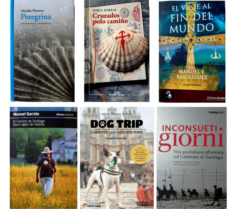 Libros del Camino de Santiago seleccionados para esta Navidad.