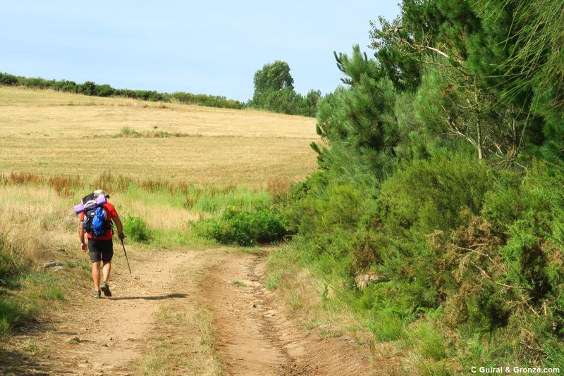 Camino entre campos cerca de Palmaz, Camino de Invierno